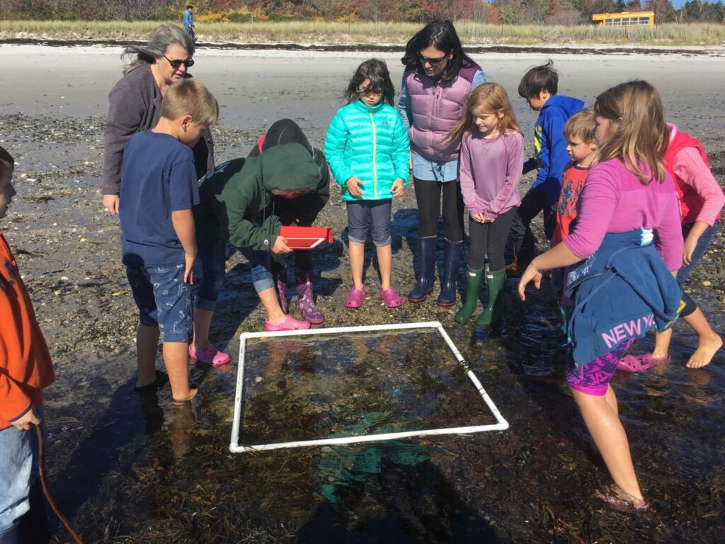 Adults stand with children over a tidal pool and look down at a portion of it that is delineated by a PVC pipe square boundary set down in the water.